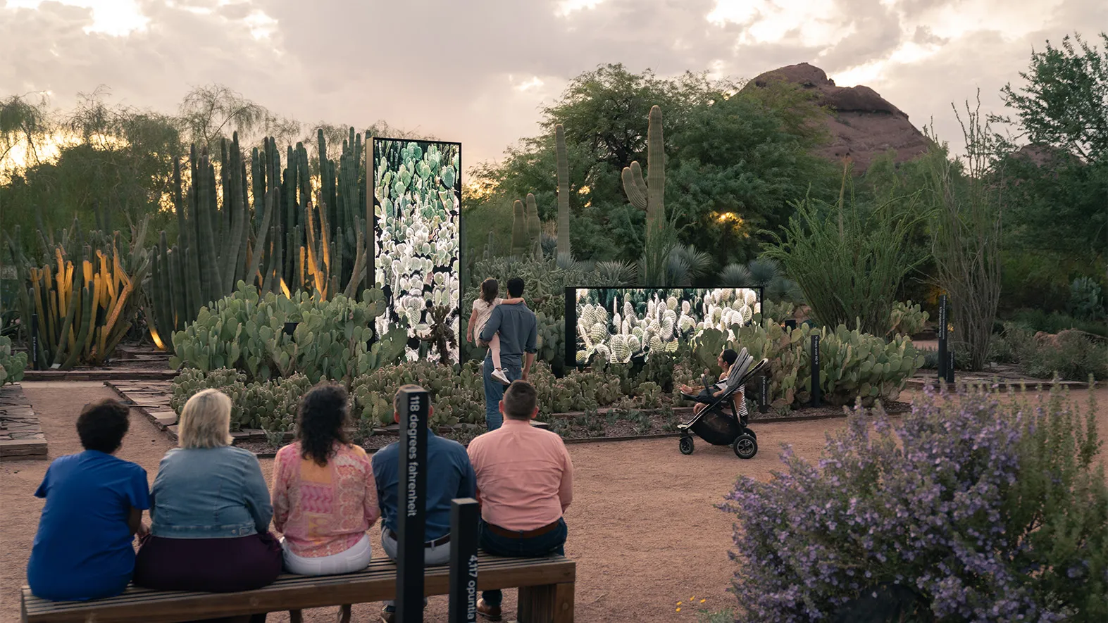 Photo credit: Rick White-Pickett