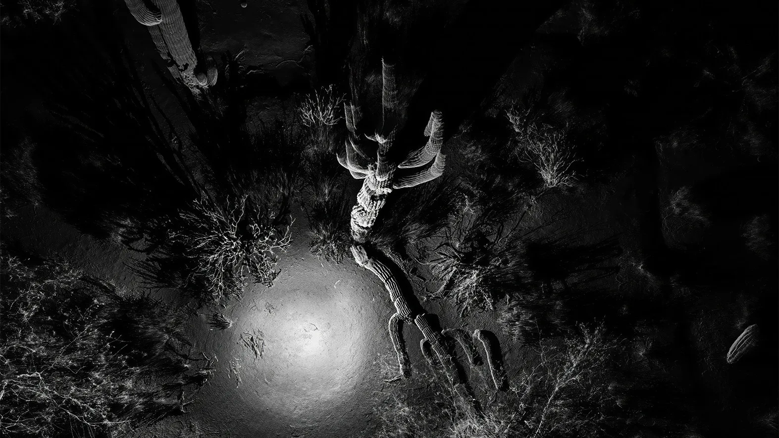 Photo credits: ScanLAB Projects