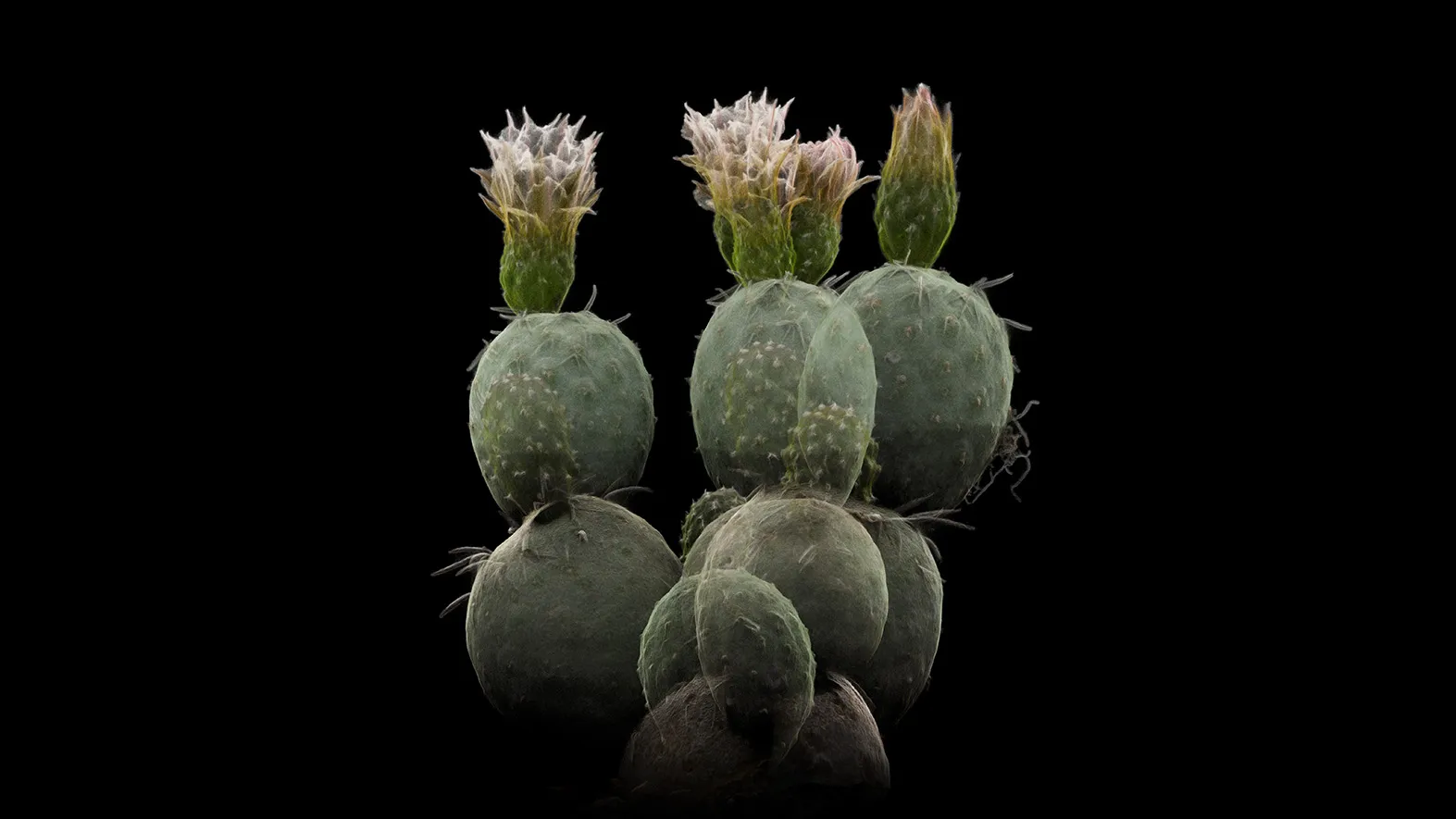 Photo credits: ScanLAB Projects