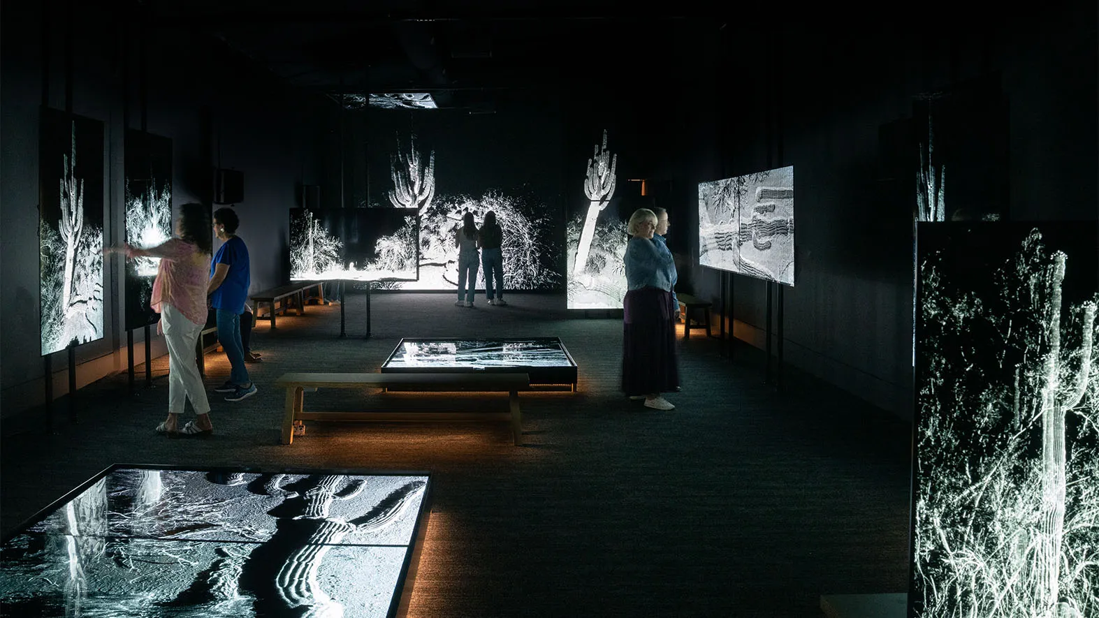 Photo credit: Rick White-Pickett